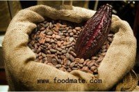 Cocoa set to pass 2014 high says VSA