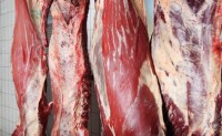 Rancho Feeding Corporation Recalled Beef Products