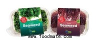 There is nothing in the world like seaweed